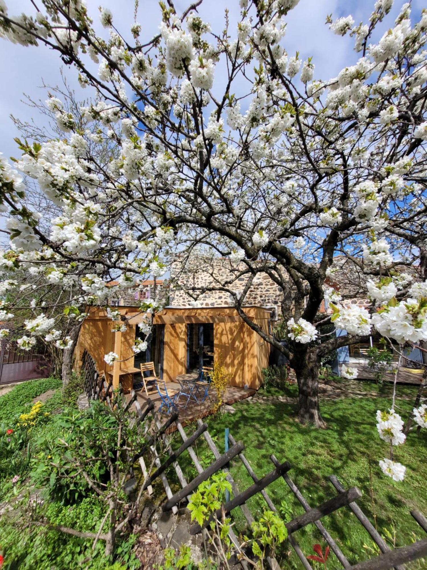 La Maisonnette Sous Le Cerisier Bergonne 외부 사진